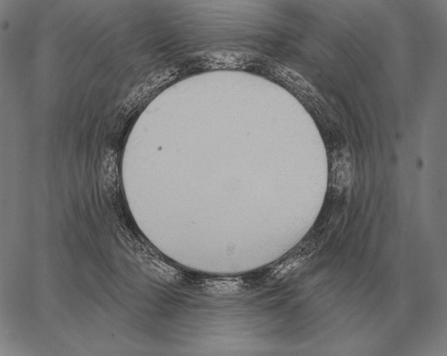 X0000066950318200604211822