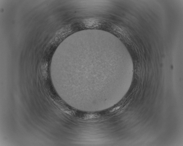 X0000066950319200604211822