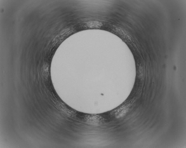 X0000066950321200604211822