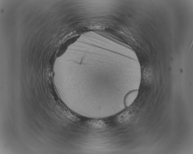 X0000066950322200604211822