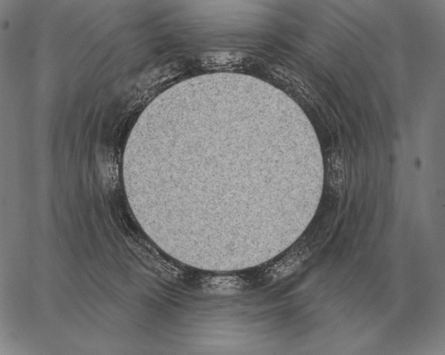 X0000066950324200604211822