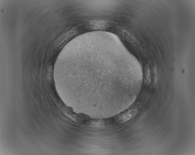 X0000066950325200604211822