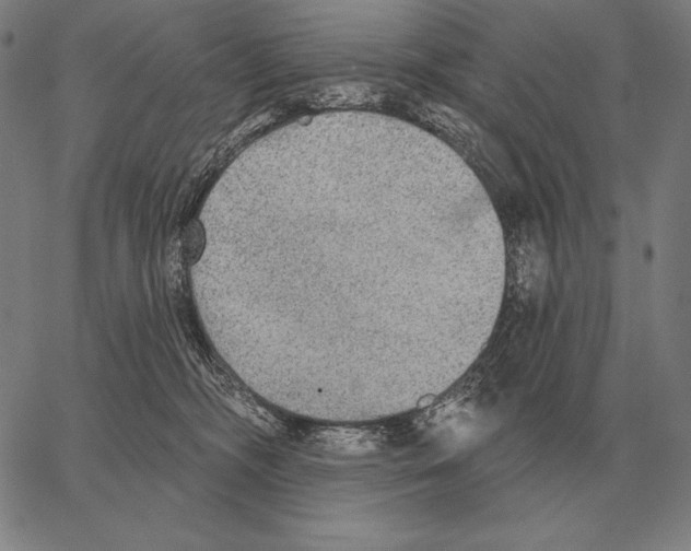 X0000066950326200604211822