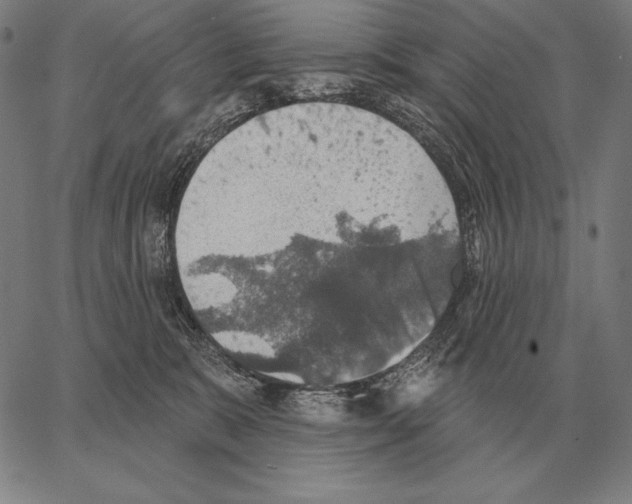 X0000066950327200604211822