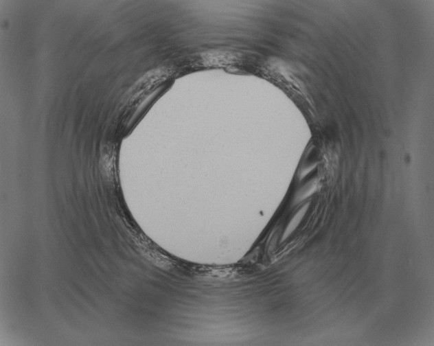 X0000066950329200604211822