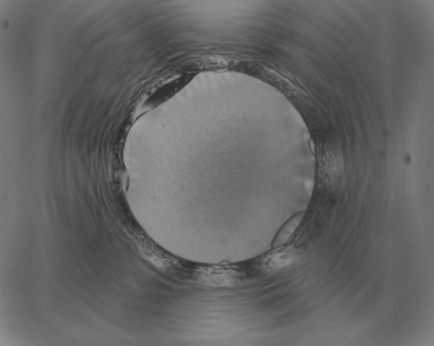 X0000066950331200604211822