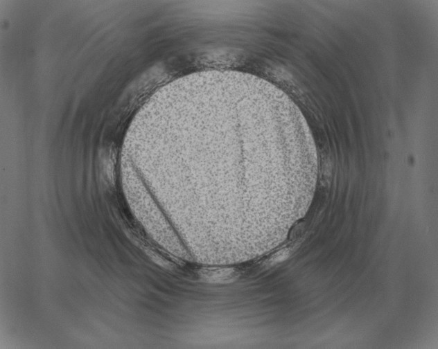 X0000066950334200604211821