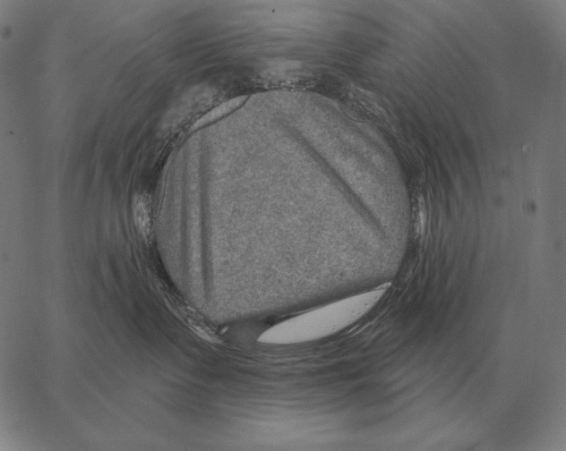 X0000066950335200604211821