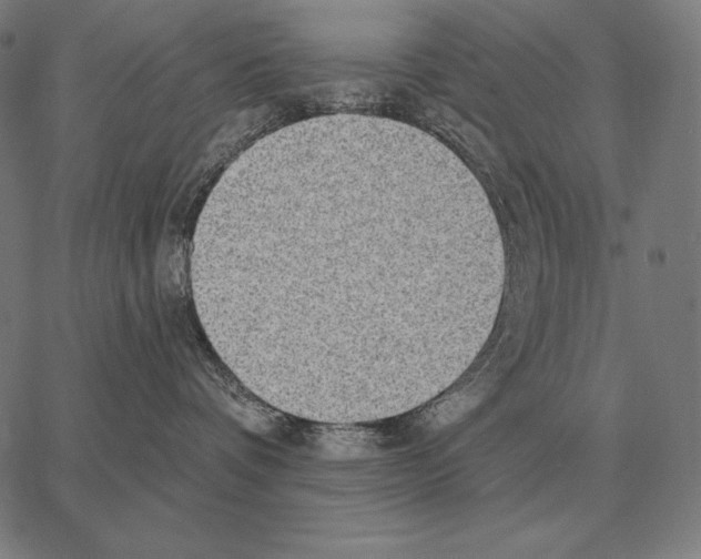 X0000066950336200604211821