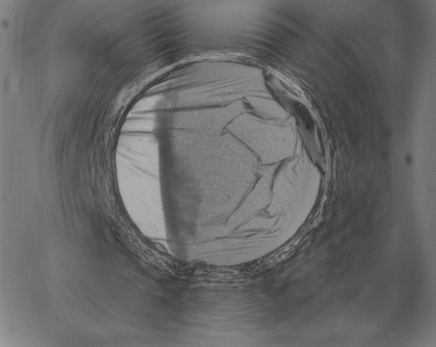 X0000066950337200604211821