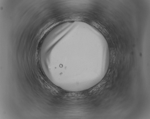 X0000066950338200604211821