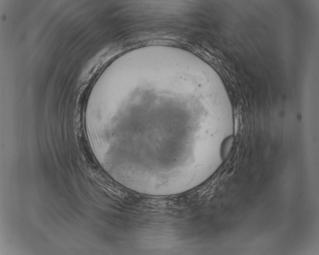 X0000066950339200604211821