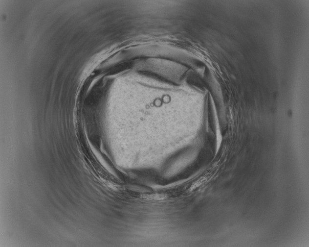 X0000066950340200604211821