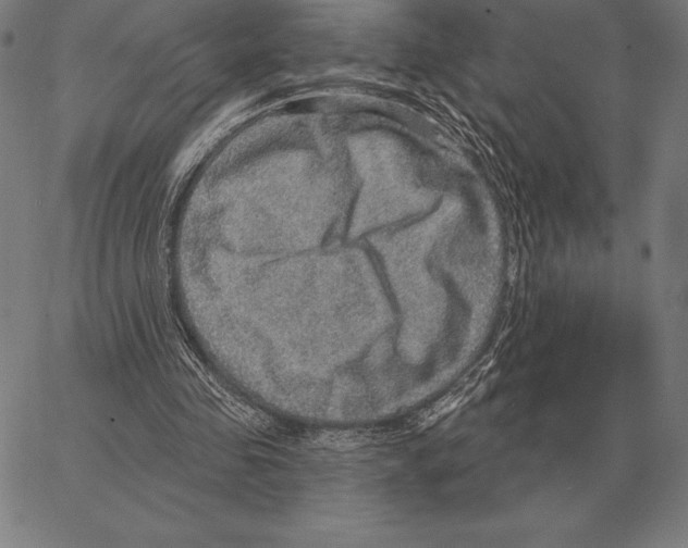 X0000066950341200604211821