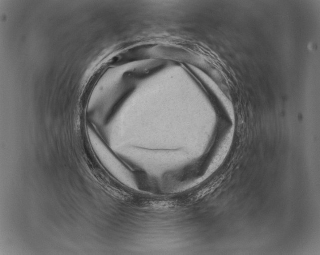 X0000066950344200604211821