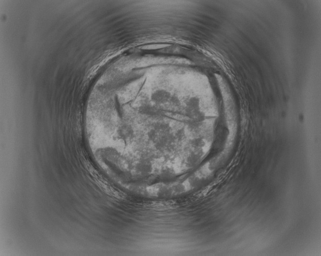 X0000066950345200604211821