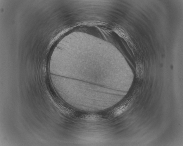 X0000066950348200604211821