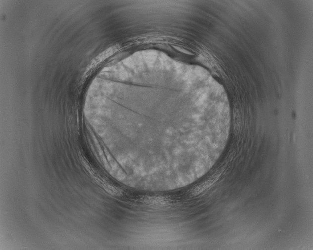 X0000066950349200604211821