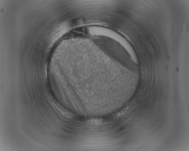 X0000066950350200604211821