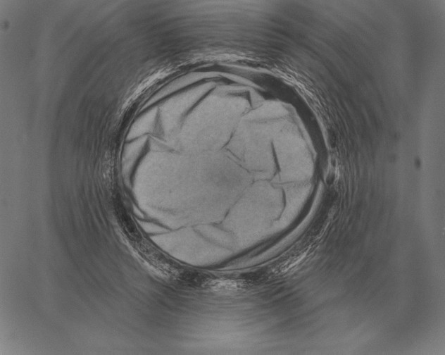 X0000066950352200604211821