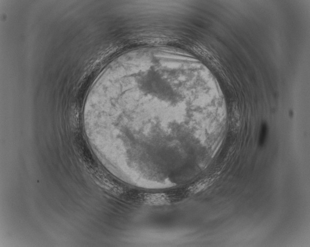 X0000066950355200604211821