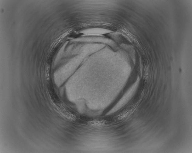 X0000066950356200604211821