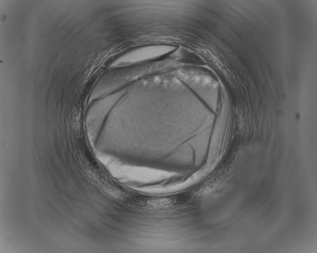 X0000066950357200604211821