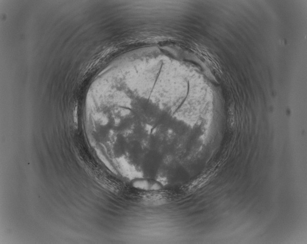 X0000066950358200604211821