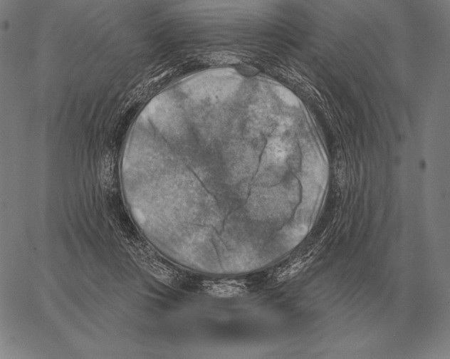 X0000066950359200604211821