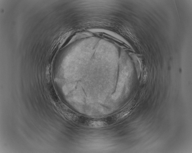 X0000066950360200604211821