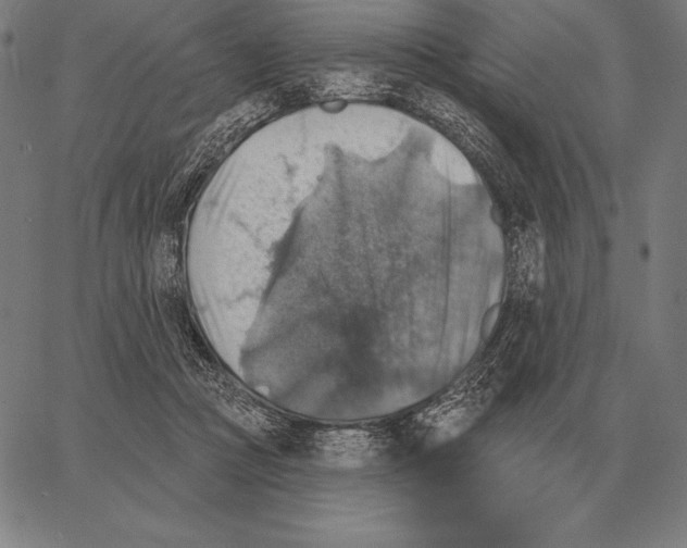 X0000066950361200604211821