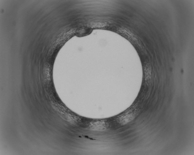 X0000066950362200604211821