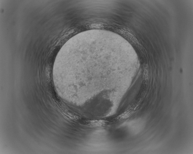 X0000066950363200604211821