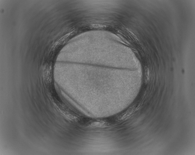 X0000066950364200604211821