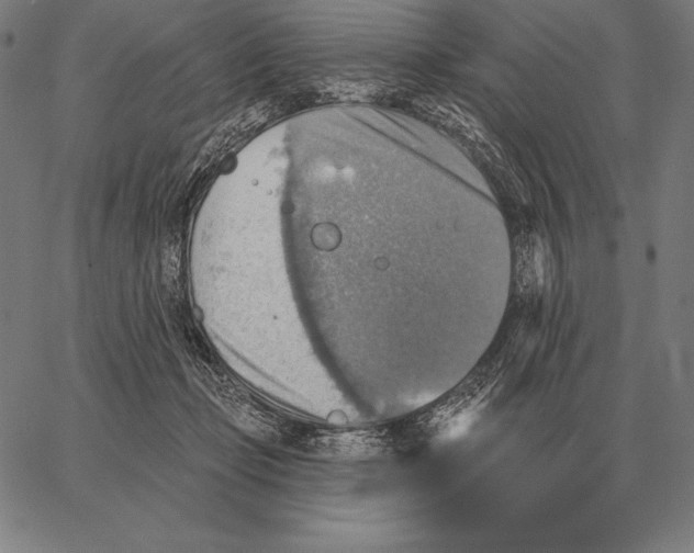 X0000066950365200604211821