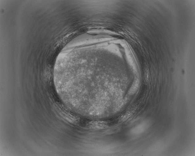 X0000066950367200604211821