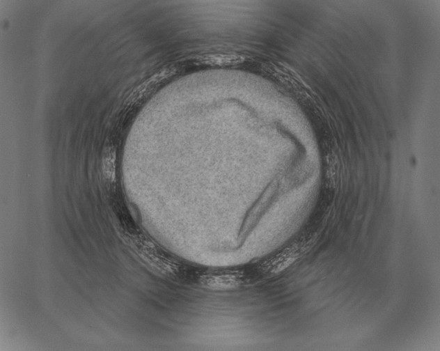 X0000066950368200604211821