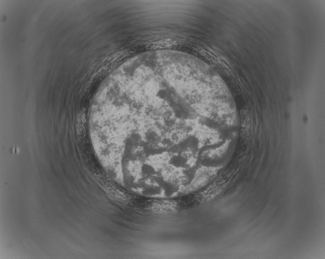 X0000066950369200604211821