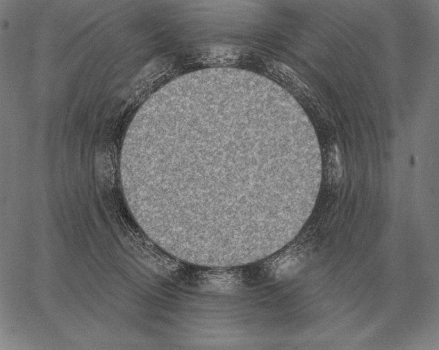 X0000066950370200604211821