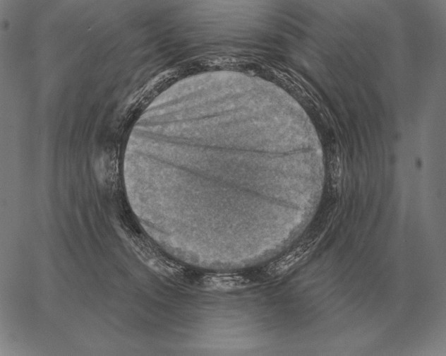 X0000066950372200604211821