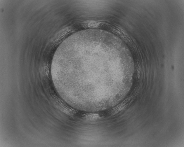 X0000066950374200604211821