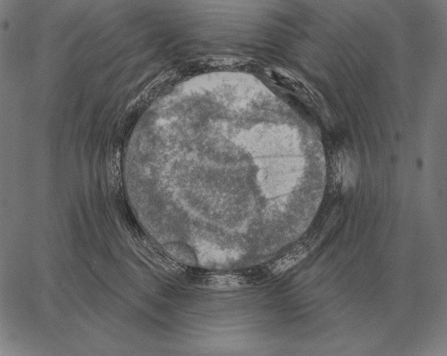 X0000066950376200604211821