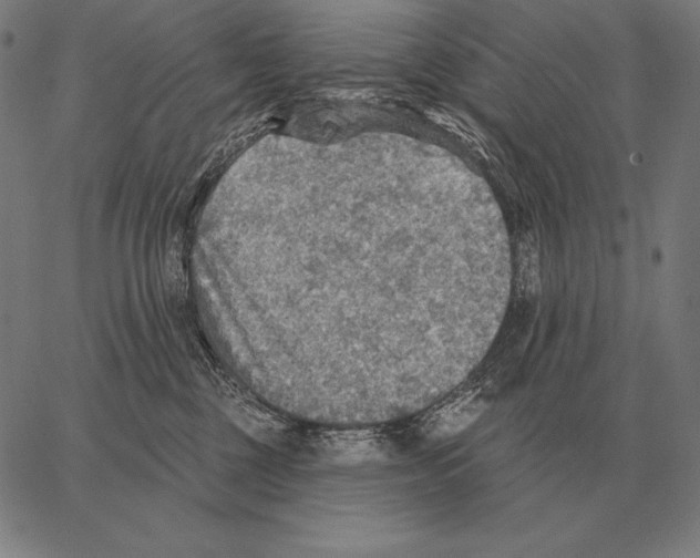 X0000066950377200604211821