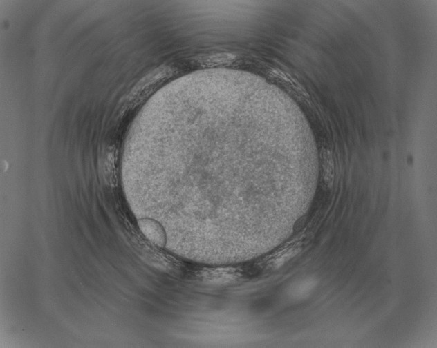 X0000066950378200604211821