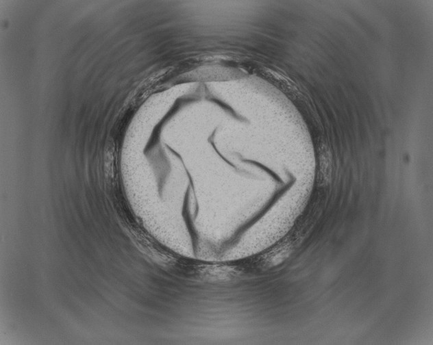 X0000066950379200604211821