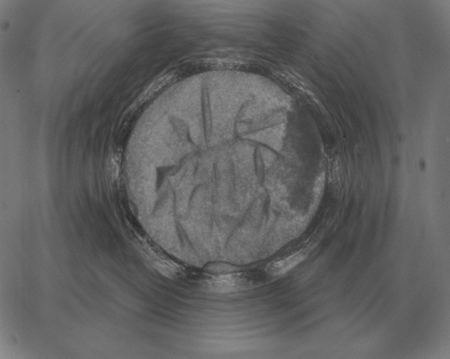 X0000066950382200604211821