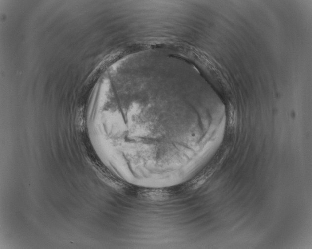 X0000066950383200604211821