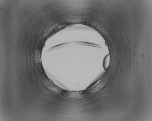 X0000066950384200604211821