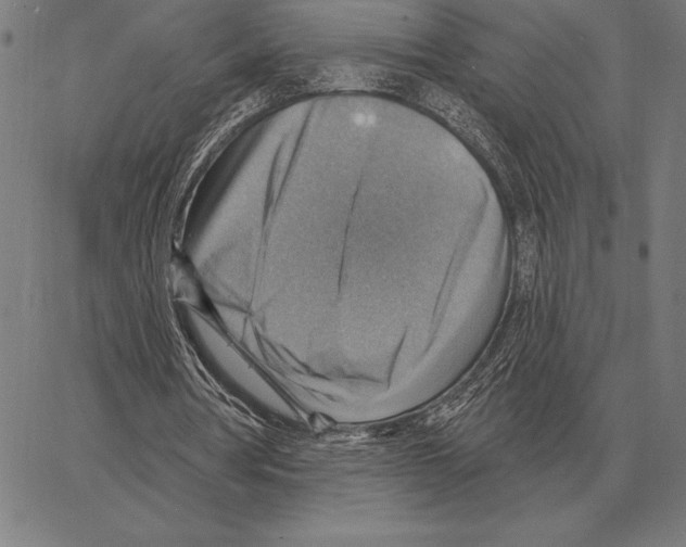 X0000066950386200604211821