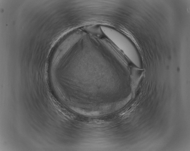 X0000066950387200604211821